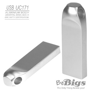 Metal USB-UC171 : 2.0 (4G~256G)